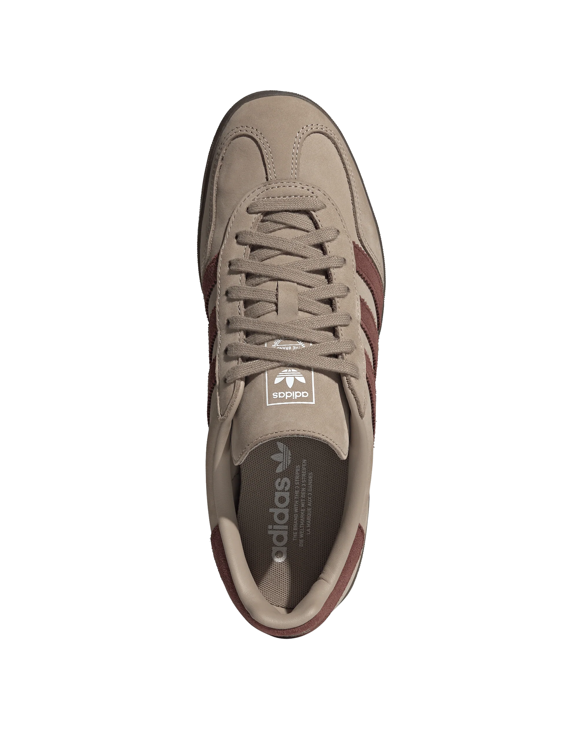 Gazelle Indoor - Image 3