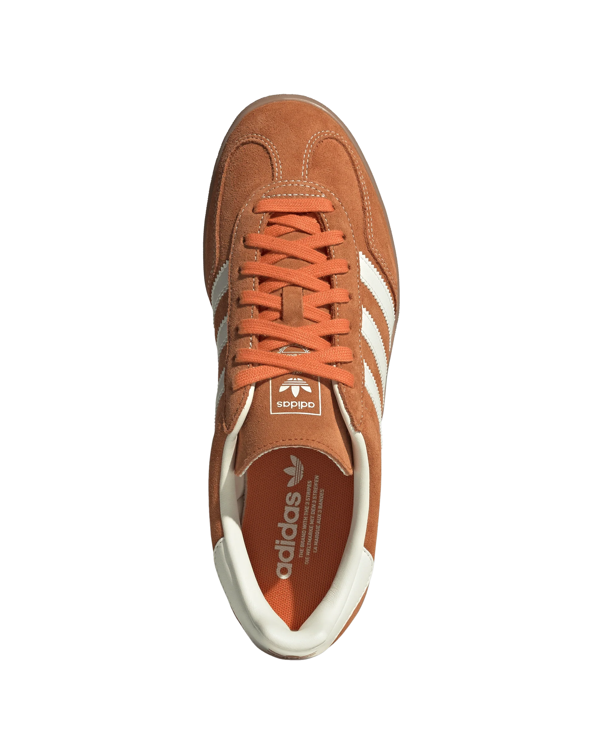 Gazelle Indoor - Image 3