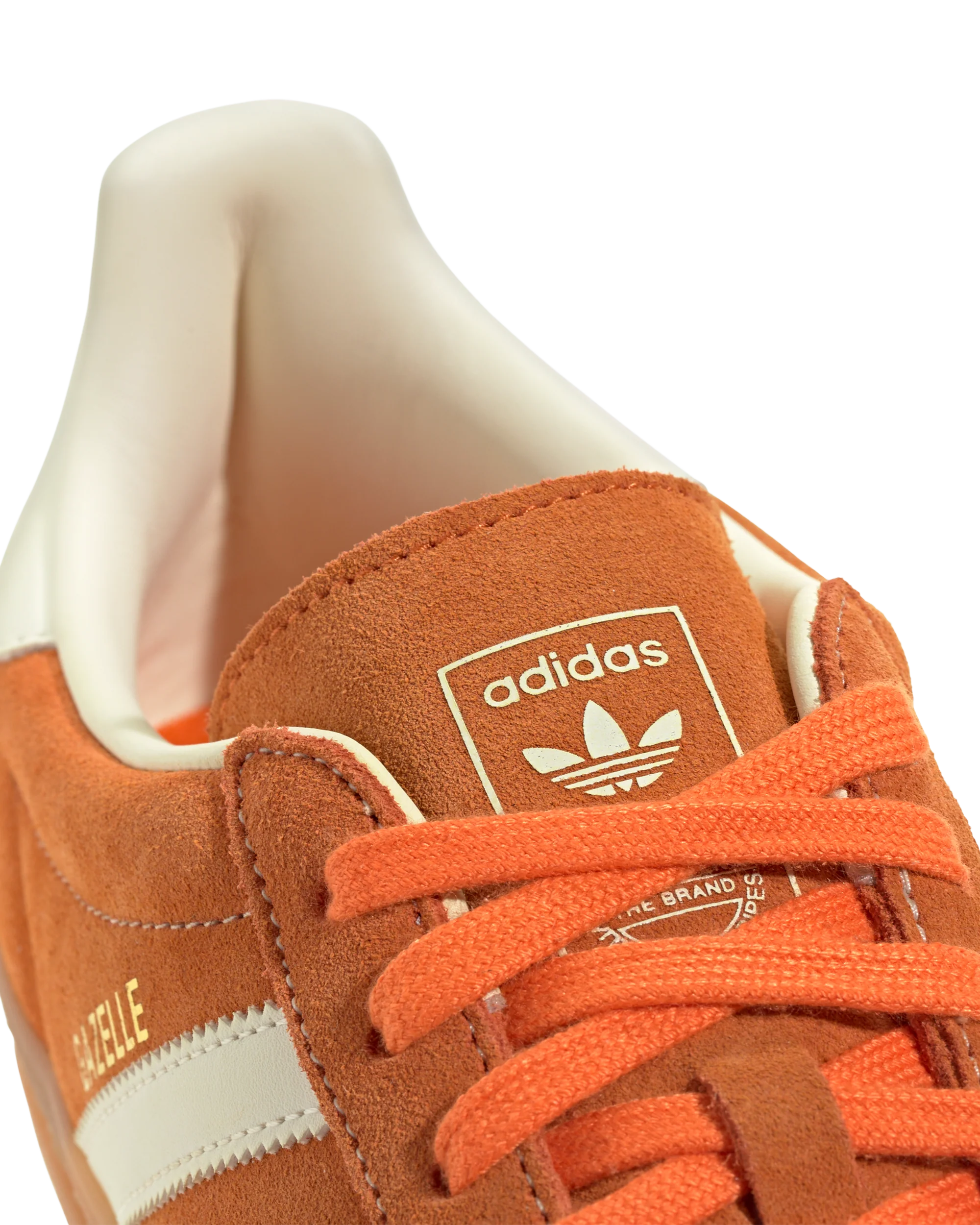 Gazelle Indoor - Image 5