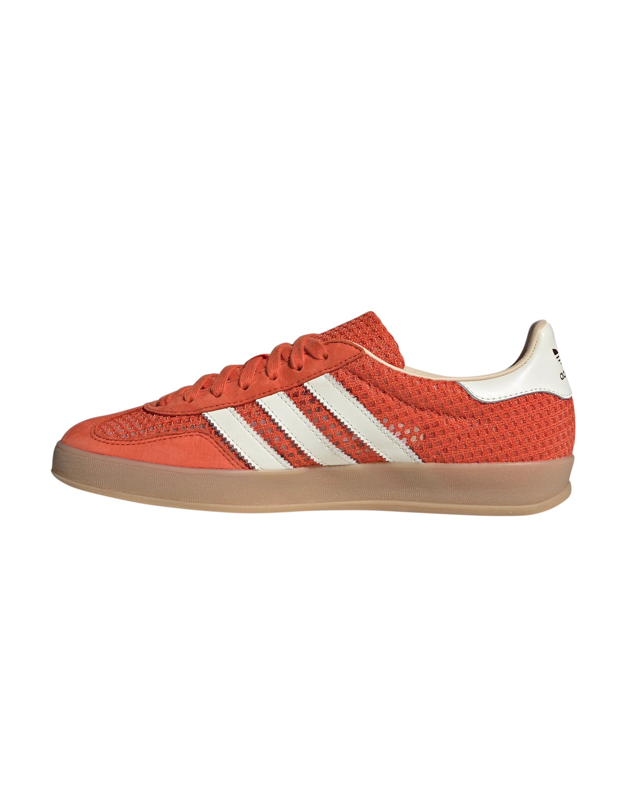 Gazelle Indoor - Image 2