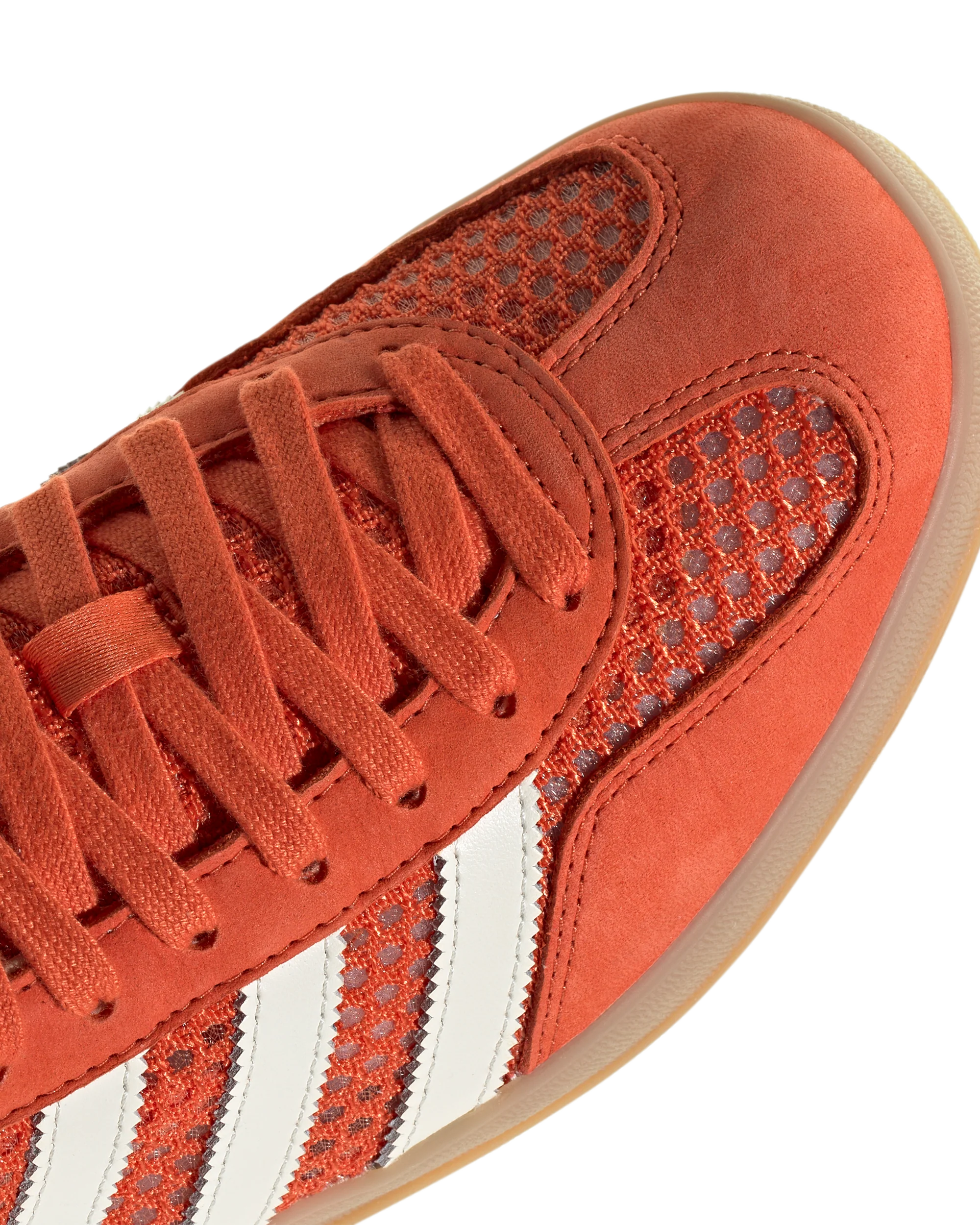 Gazelle Indoor - Image 5