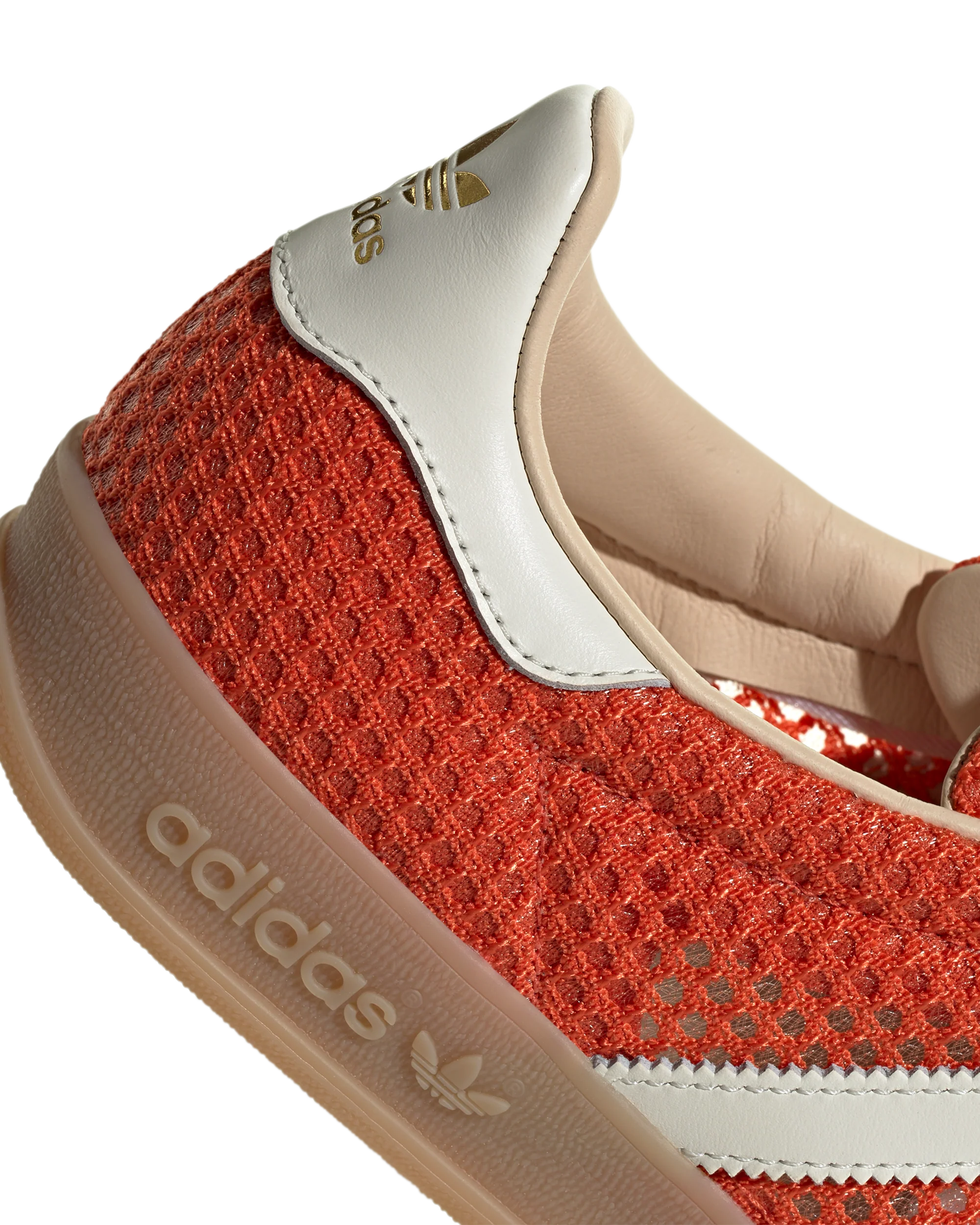 Gazelle Indoor - Image 6